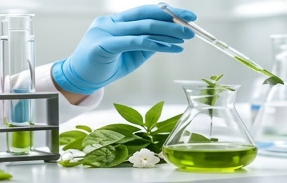 Formulation Development